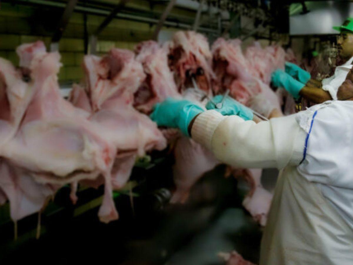 Investigan a empresas de carne por presunto uso de niños para limpiar mataderos