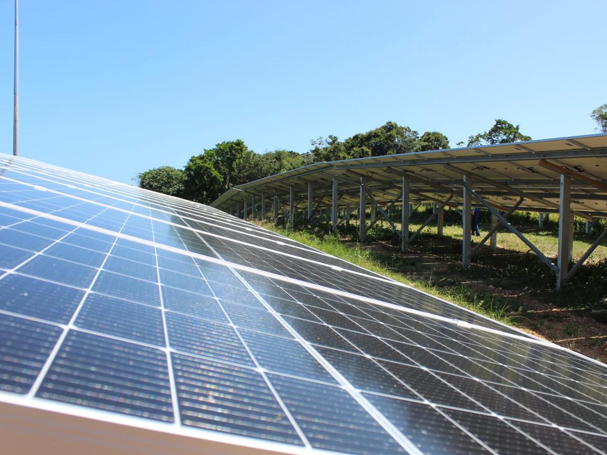 La parte del componente solar de la planta híbrida está compuesta de 1,121 paneles solares en su primera etapa.