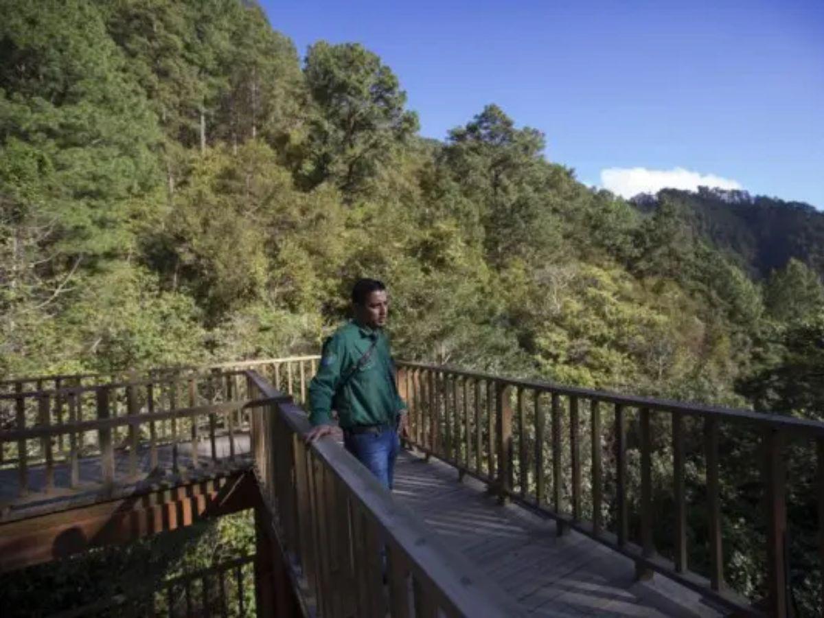 Feriado Morazánico 2026 en el occidente de Honduras: clima fresco, historia y naturaleza