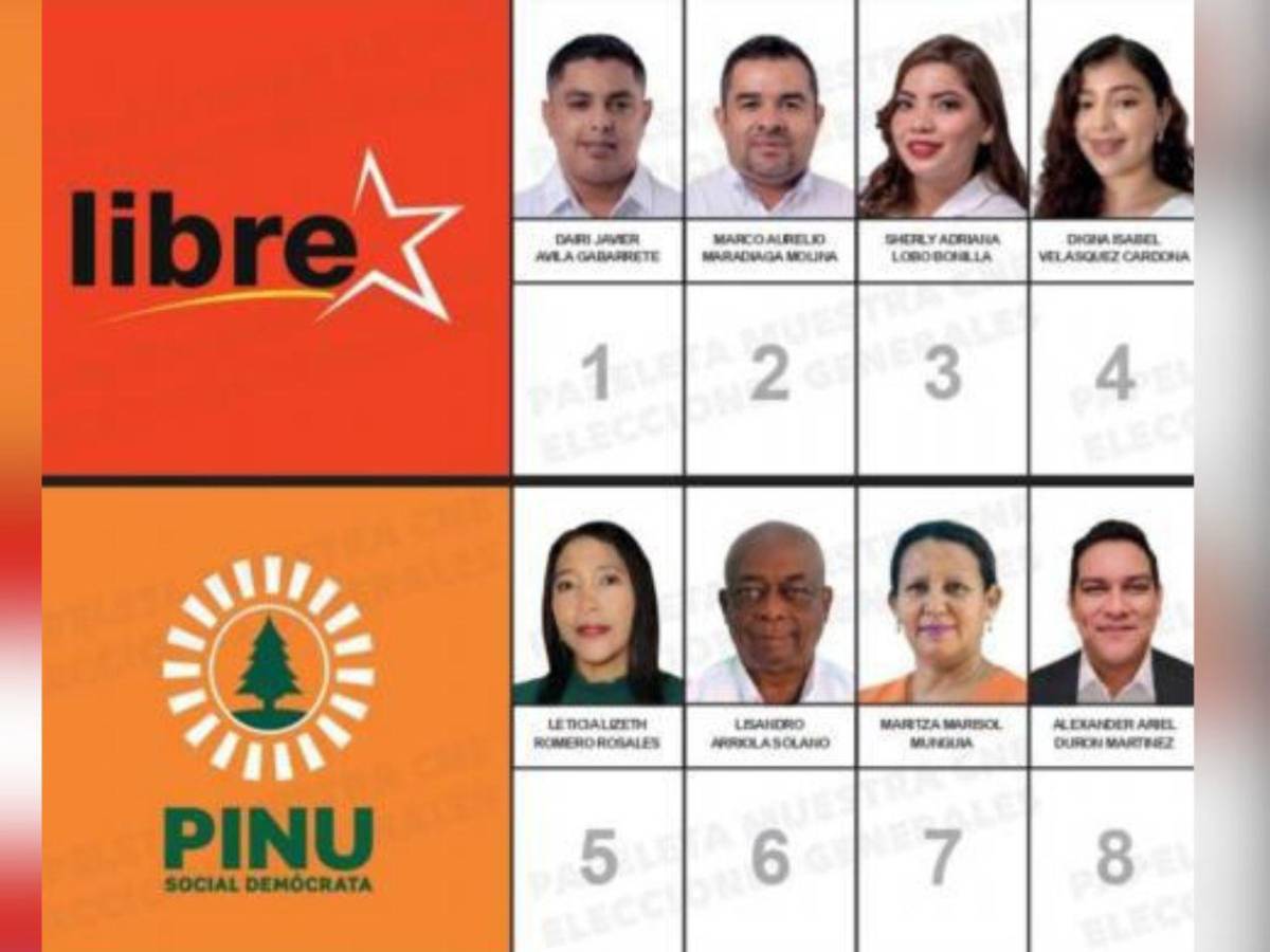 Dos diputados de Libre y un liberal buscan mantener su curul en Colón