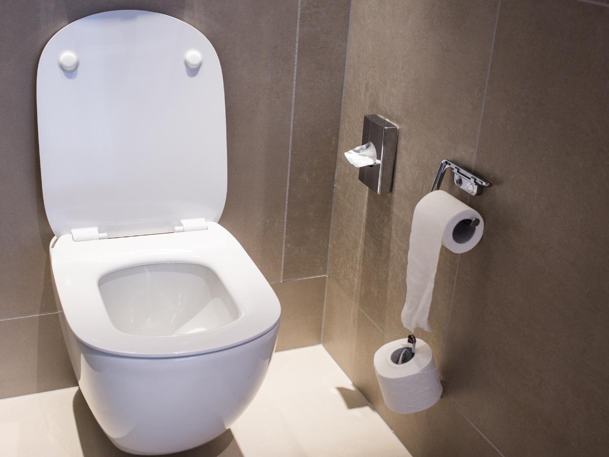 “Muy aterrador”: Mujer es mordida por serpiente escondida en el inodoro de su hogar