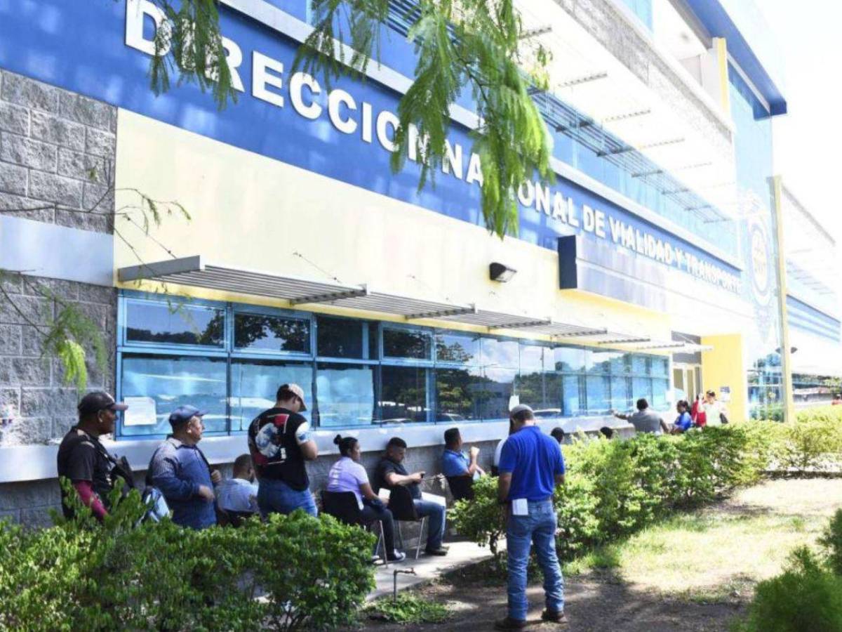 Todo lo que necesitas para obtener tu primera licencia de conducir