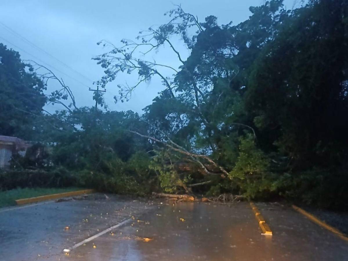 Alerta en la zona norte por lluvias; conozca sectores afectados