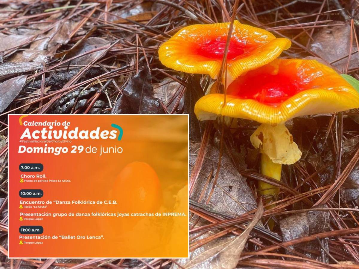 Dos eventos para conocer el sabor del bosque y el vuelo a la libertad en Copán e Intibucá