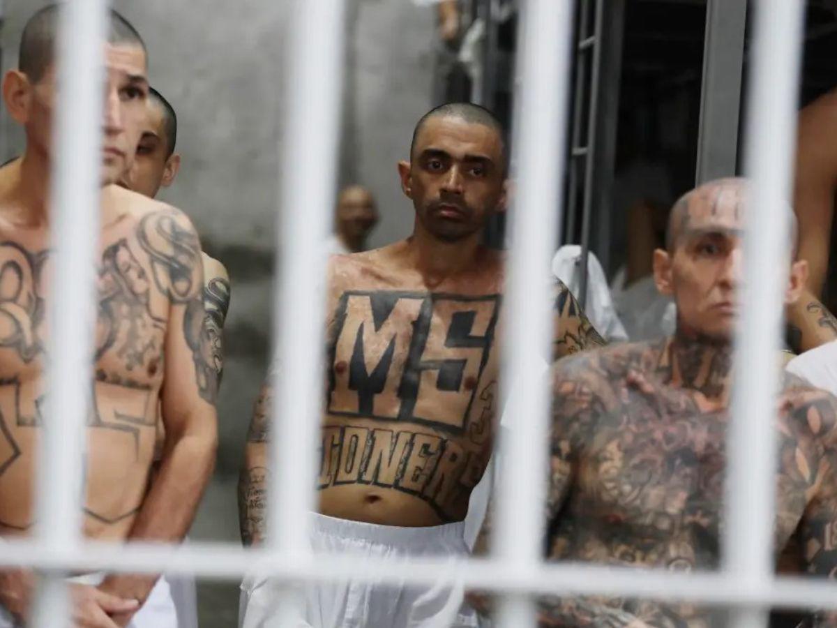 Solicitan procesar a más de 1,200 pandilleros de la MS-13