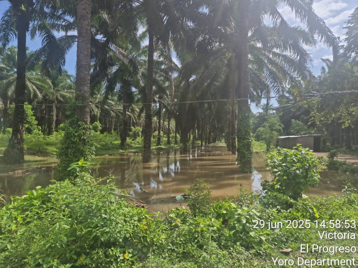 Refuerzan seguridad en zonas afectadas por inundaciones en El Progreso, Yoro