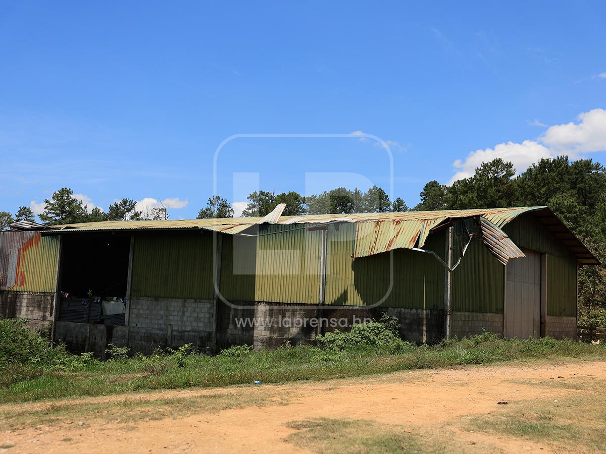 Abandono y deterioro: Así están hoy los bienes de Magdaleno Meza