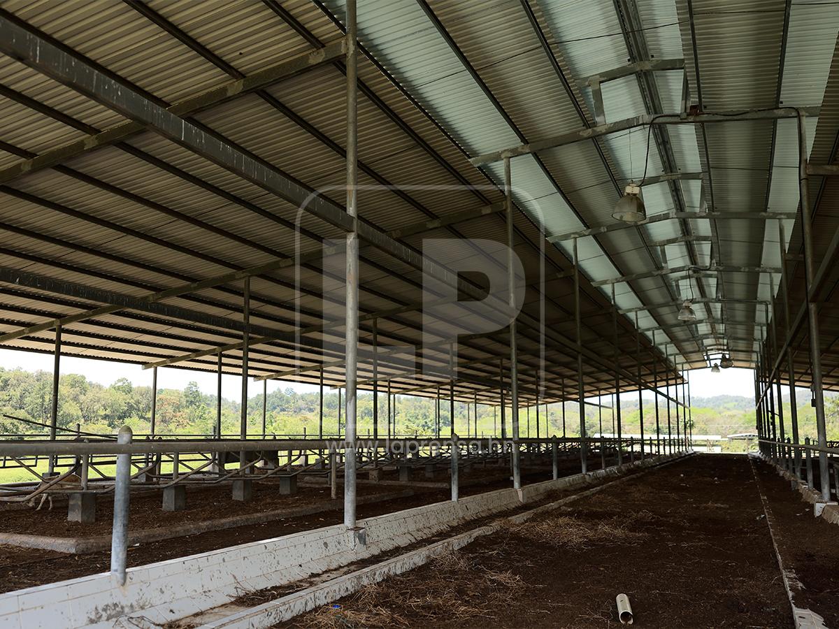 Abandono y deterioro: Así están hoy los bienes de Magdaleno Meza