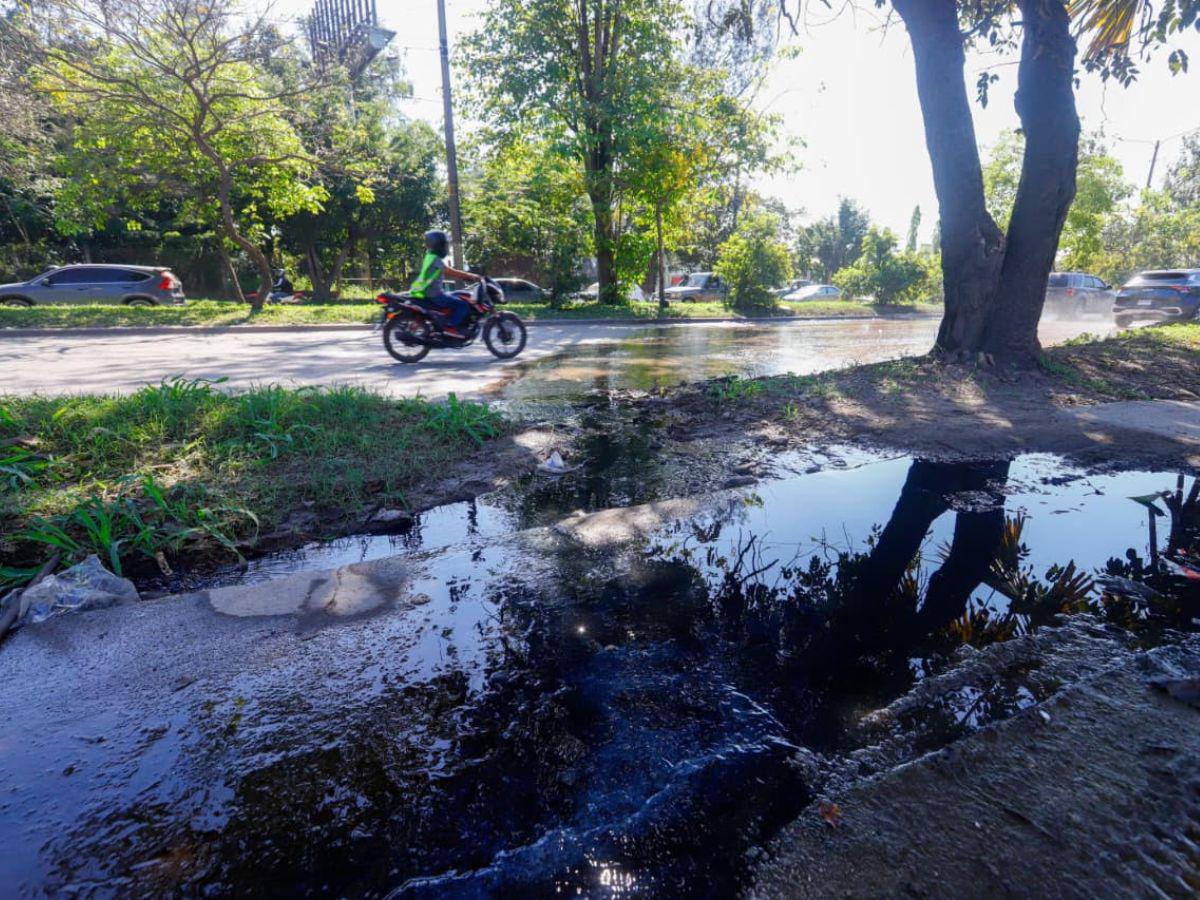 Derrame de aguas negras en el bulevar del sur acumula meses de contaminación