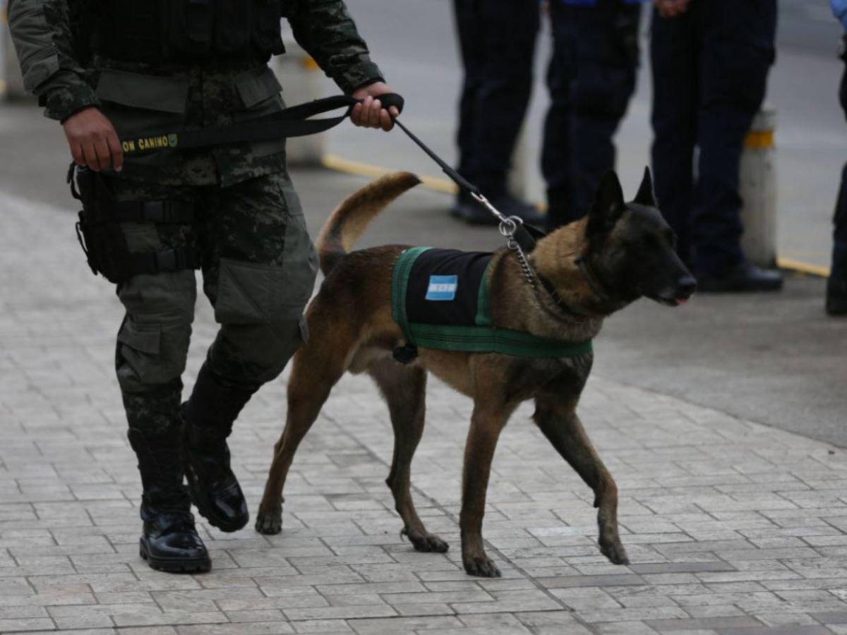 Ambiente en el Banco Central a pocas horas de la IX Cumbre de la Celac