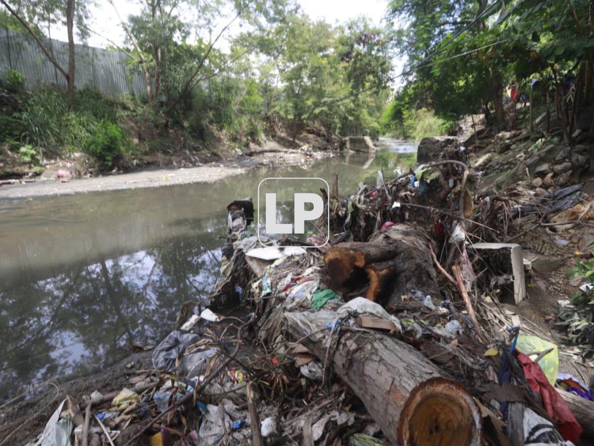 Lo último en la búsqueda de Elvis Eliú: ¿qué se sabe del caso?