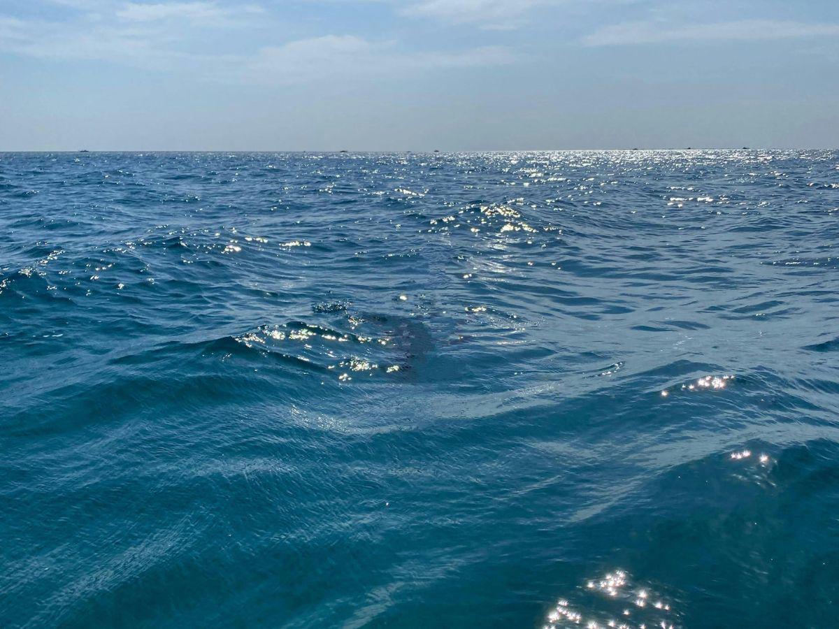 ¿Cómo estará el clima este 14 de diciembre en Honduras?