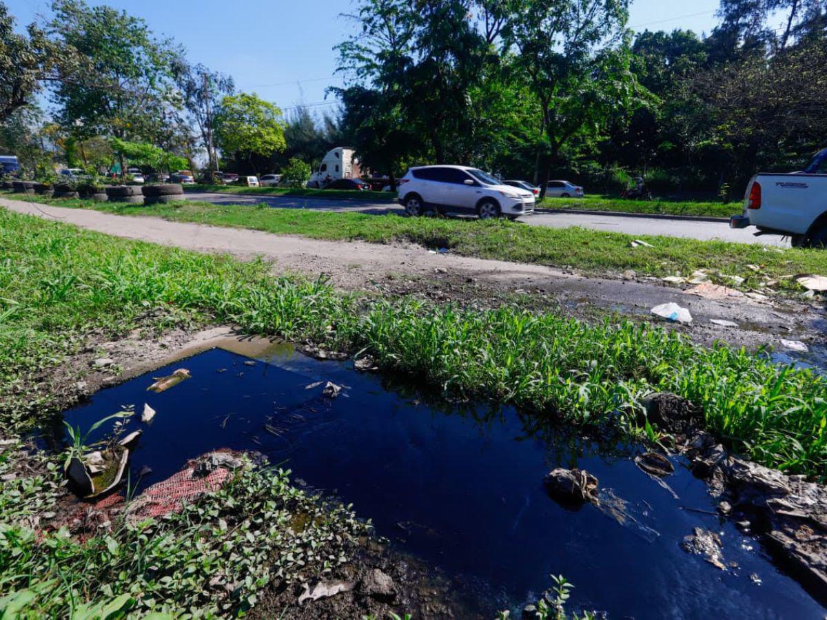 Derrame de aguas negras en el bulevar del sur acumula meses de contaminación