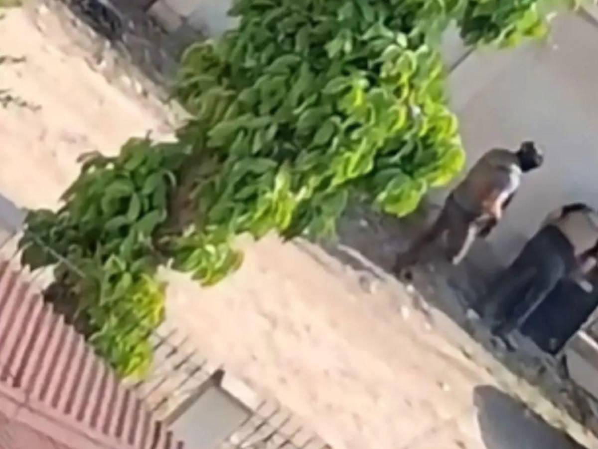 Hallan muertos a dos hombres señalados en el asesinato de cinco policías en Honduras