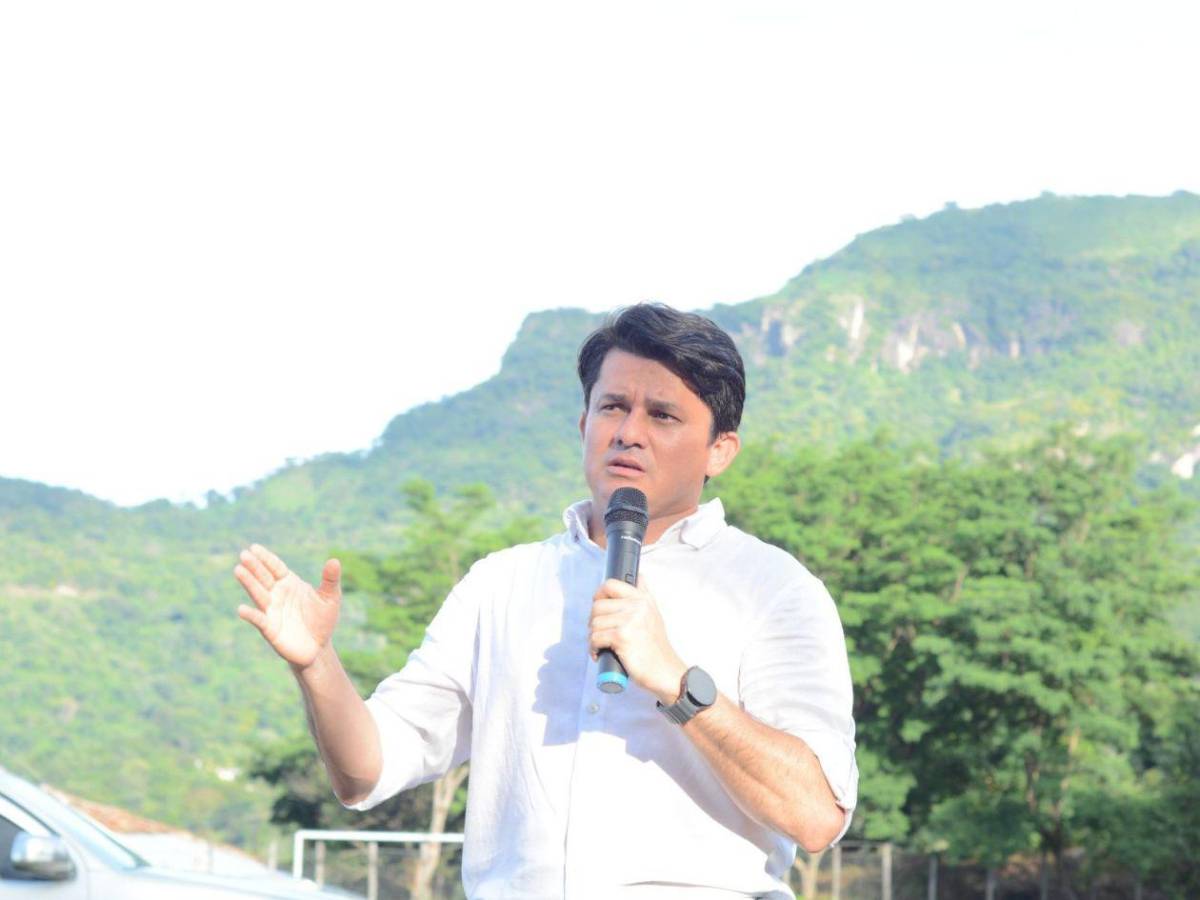 De Libre y afines: ¿quiénes integran la Comisión Permanente del CN?