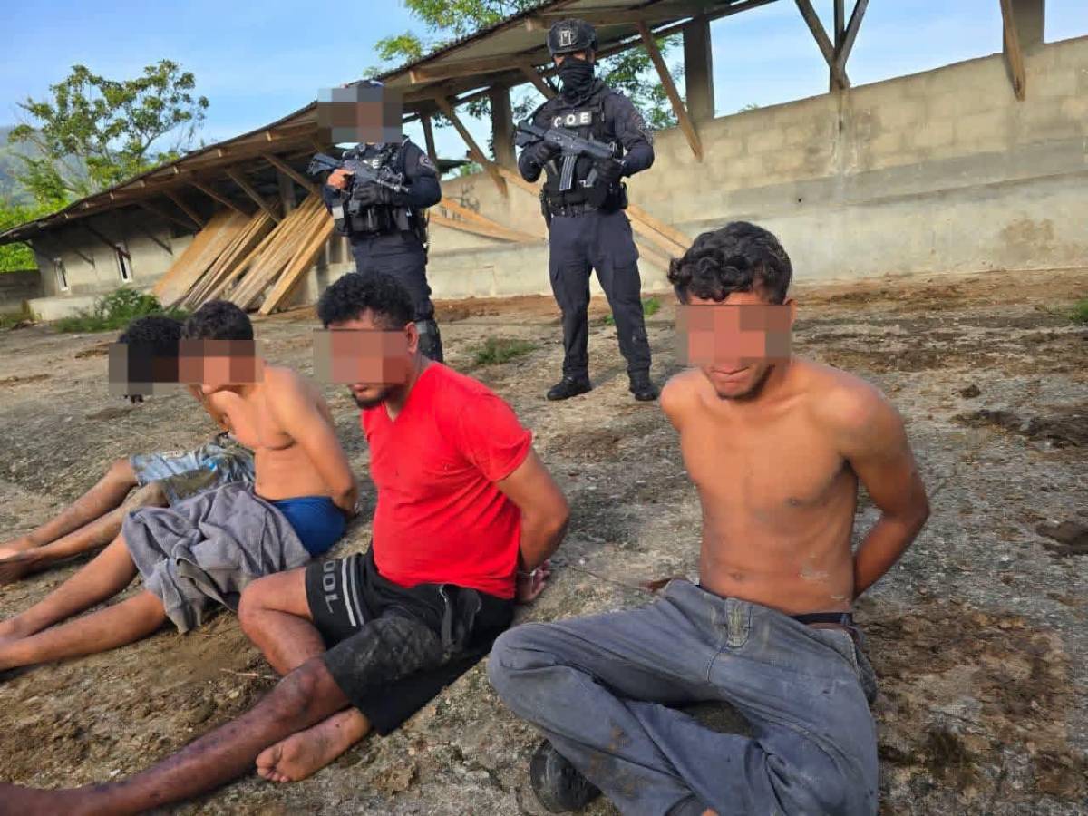 Armas enterradas, fusiles de guerra y siete detenidos tras operativo por masacre de Rigores