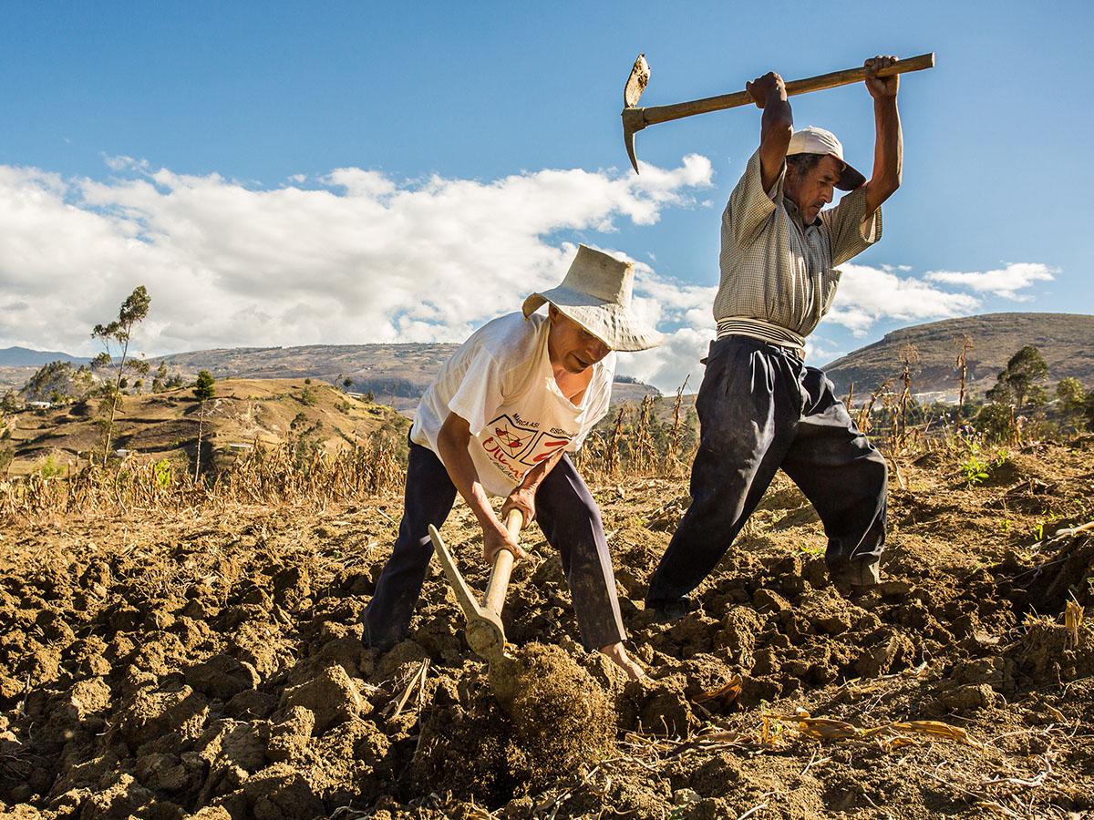 SAG y Banadesa ofrecen plan de acción y préstamos para enfrentar el fenómeno “El Niño”