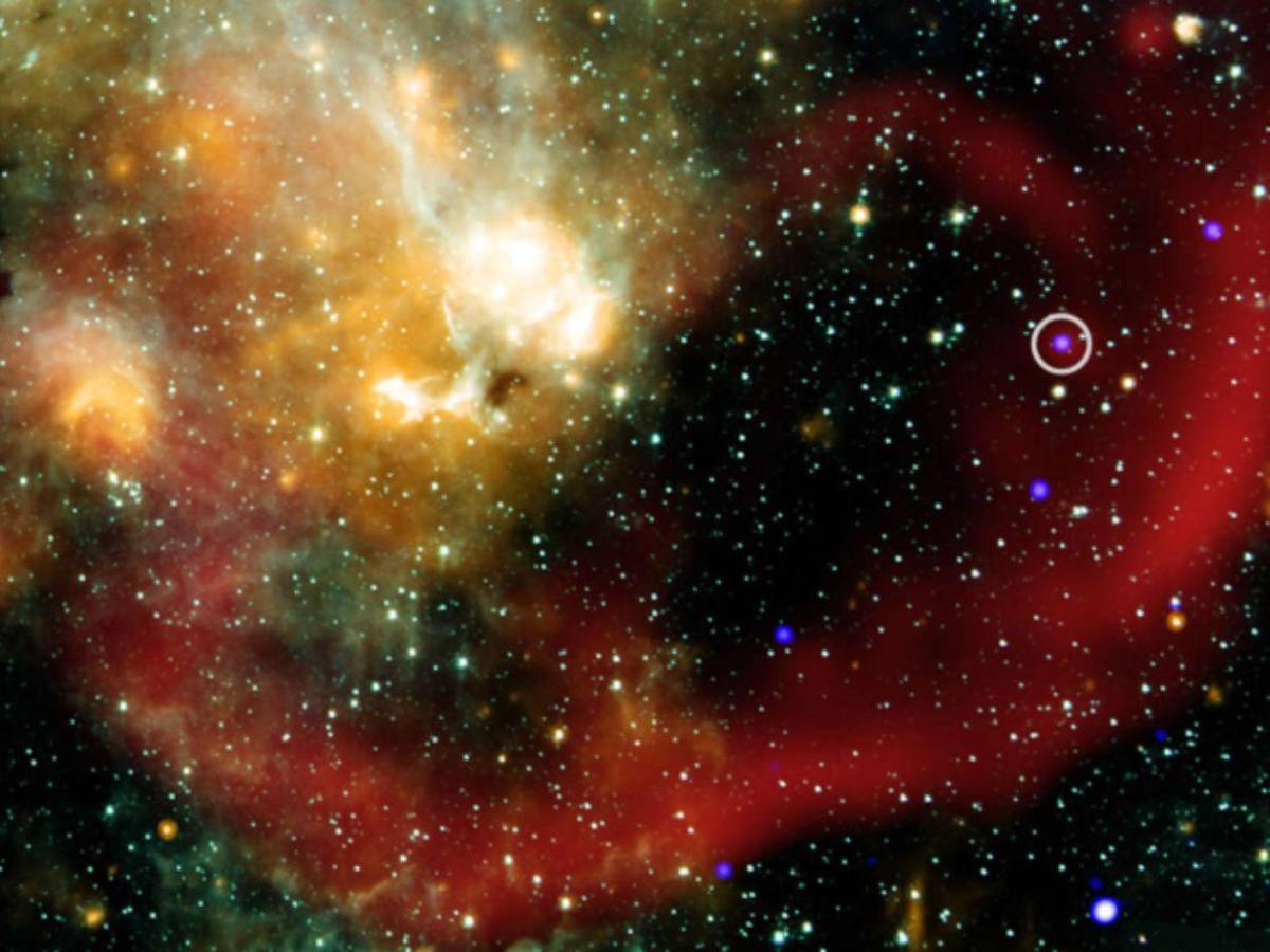 Una estrella misteriosa desconcierta a científicos: esto es lo que han descubierto