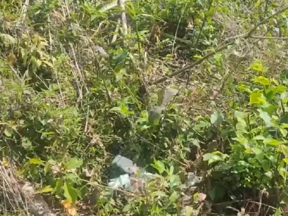 Encuentran muerto a recién nacido en Danlí, El Paraíso