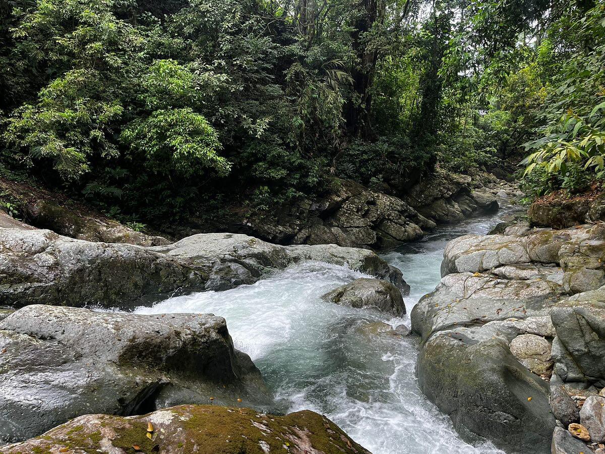En las faldas de Pico Bonito nacen ríos con cascadas y rápidos impresionantes.