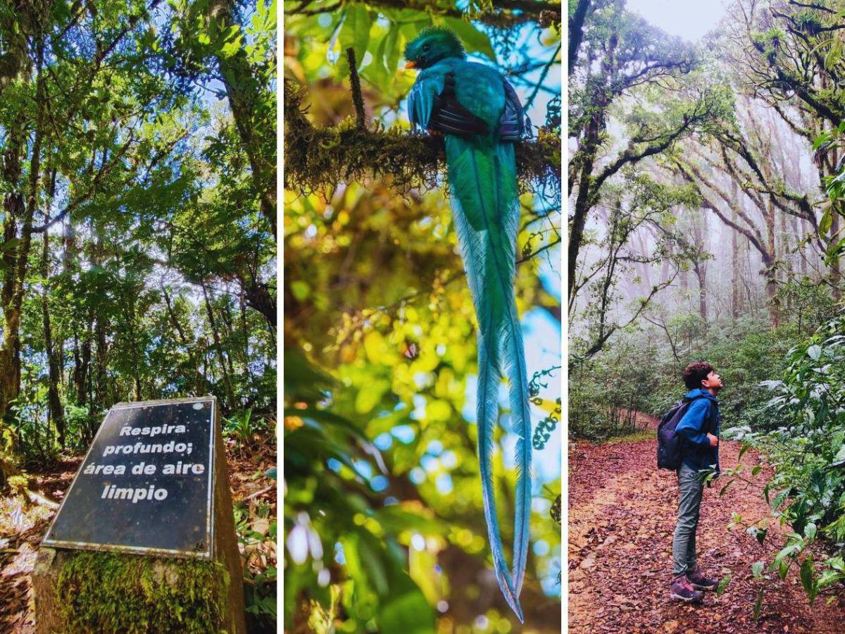De bosques nublados a playas vírgenes: así de bellos son estos cinco parques nacionales