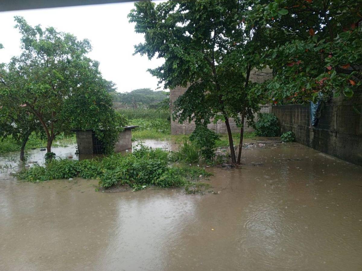 Calles convertidas en ríos: drama de 40 familias en Buena Inversión