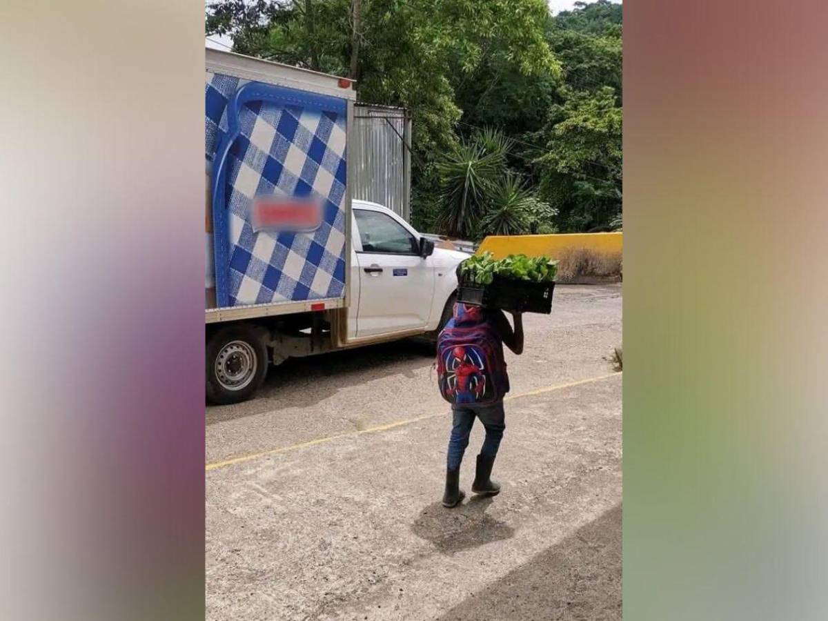 El triste final de Elmer Misael: el niño vendedor de mostaza que murió en Gualala