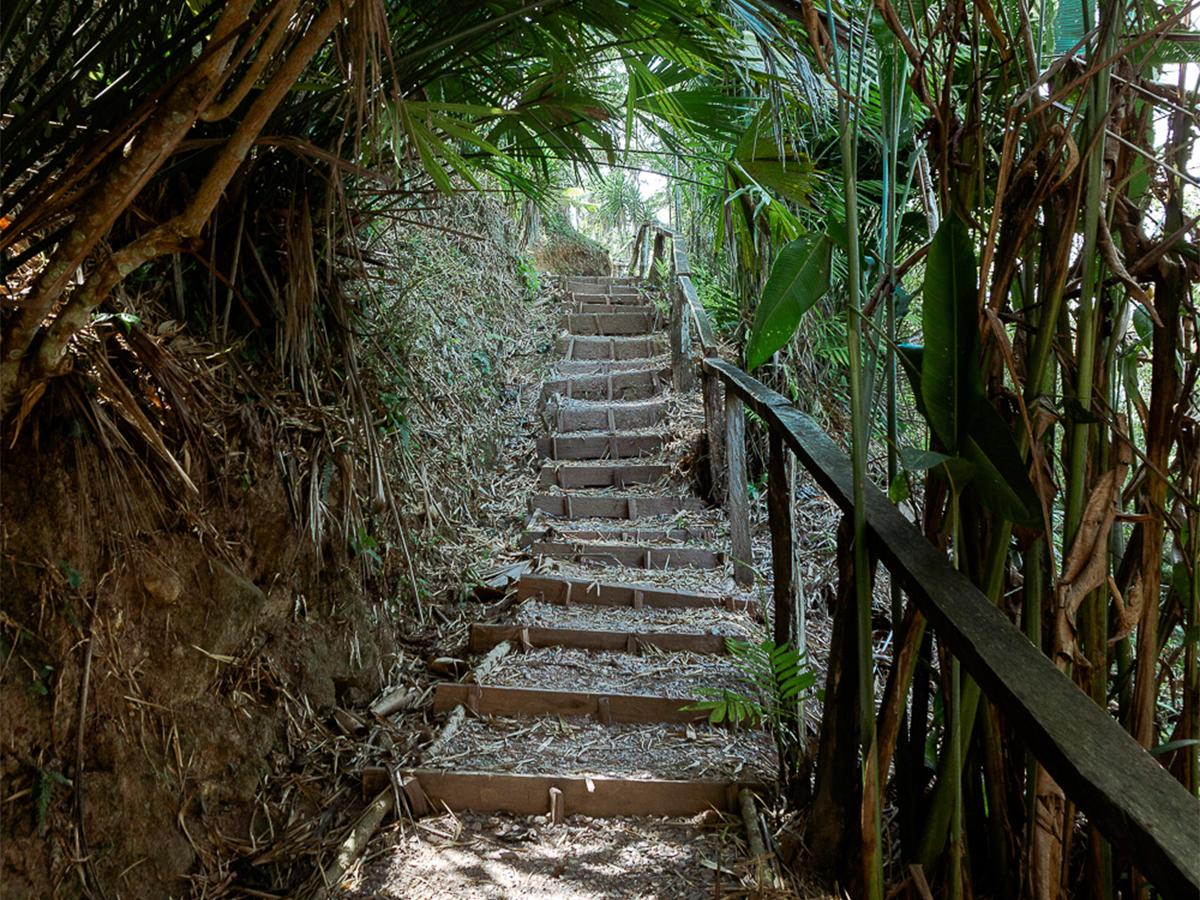 Finca Santa Isabel ofrece una experiencia única y enriquecedora para los visitantes.