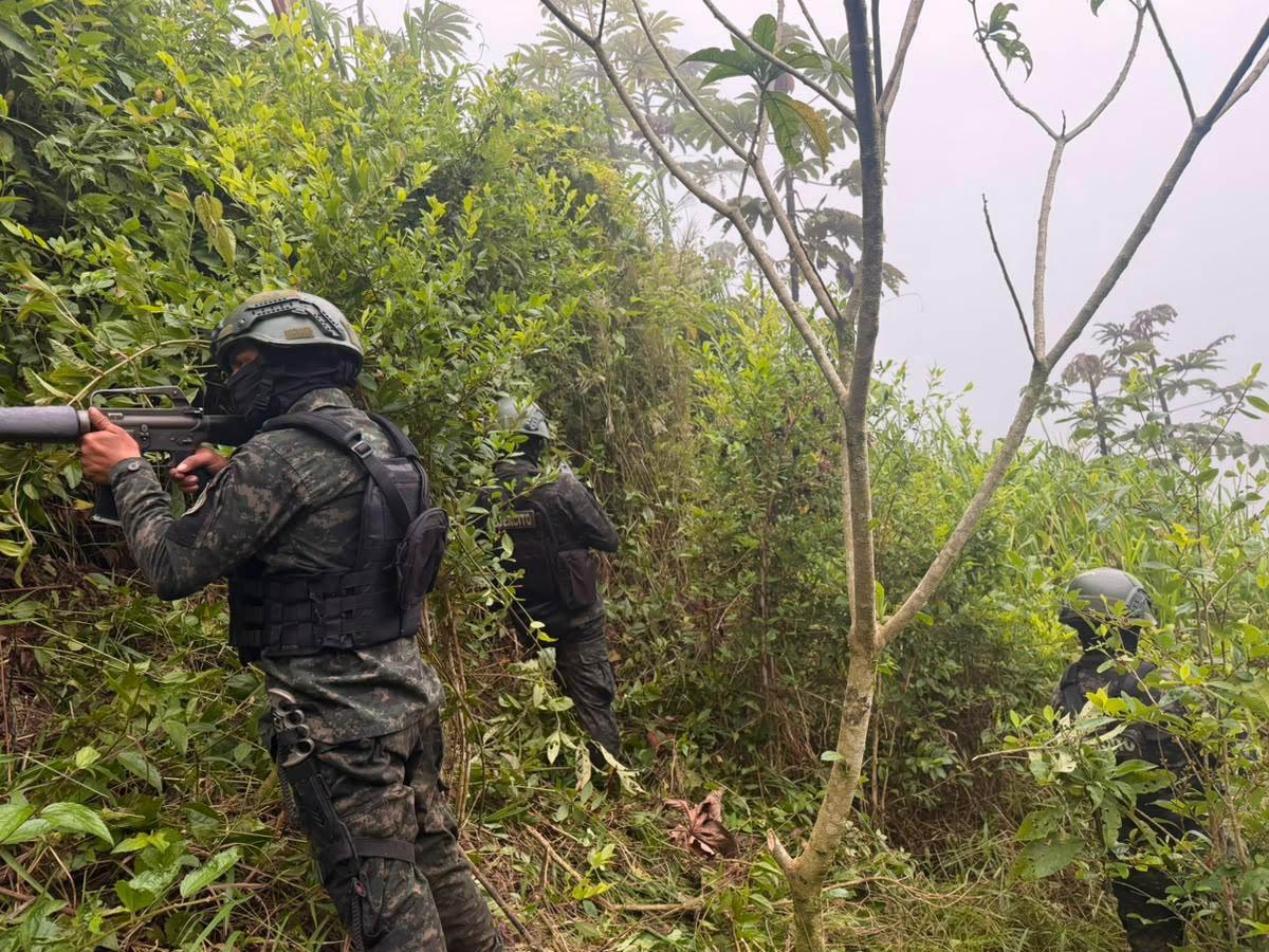Ejército asegura cuatro plantaciones de coca y marihuana en Yoro