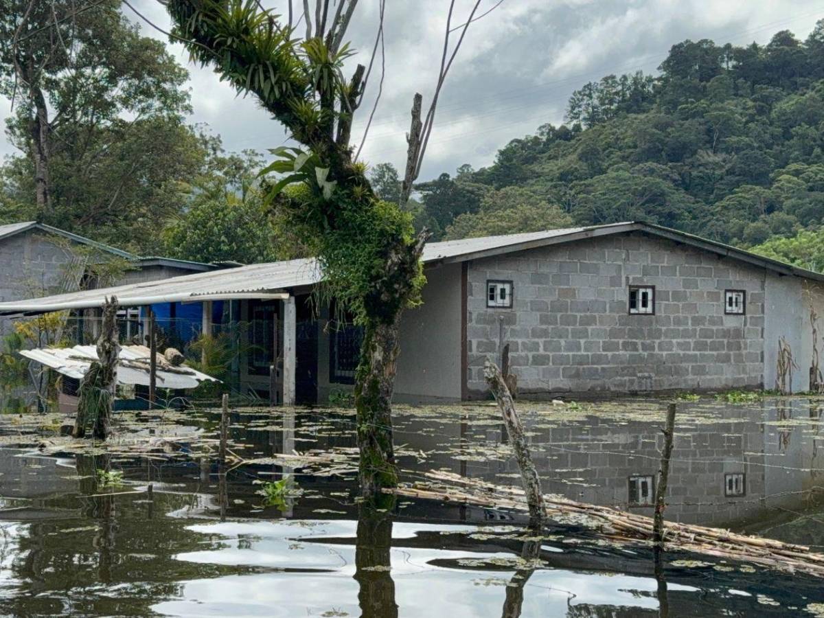 Así lucen las zonas inundadas por el aumento del nivel del Lago de Yojoa
