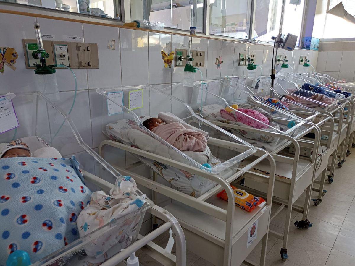 ¡Bisiestos! Siete bebés nacen este 29 de febrero en Hospital Escuela