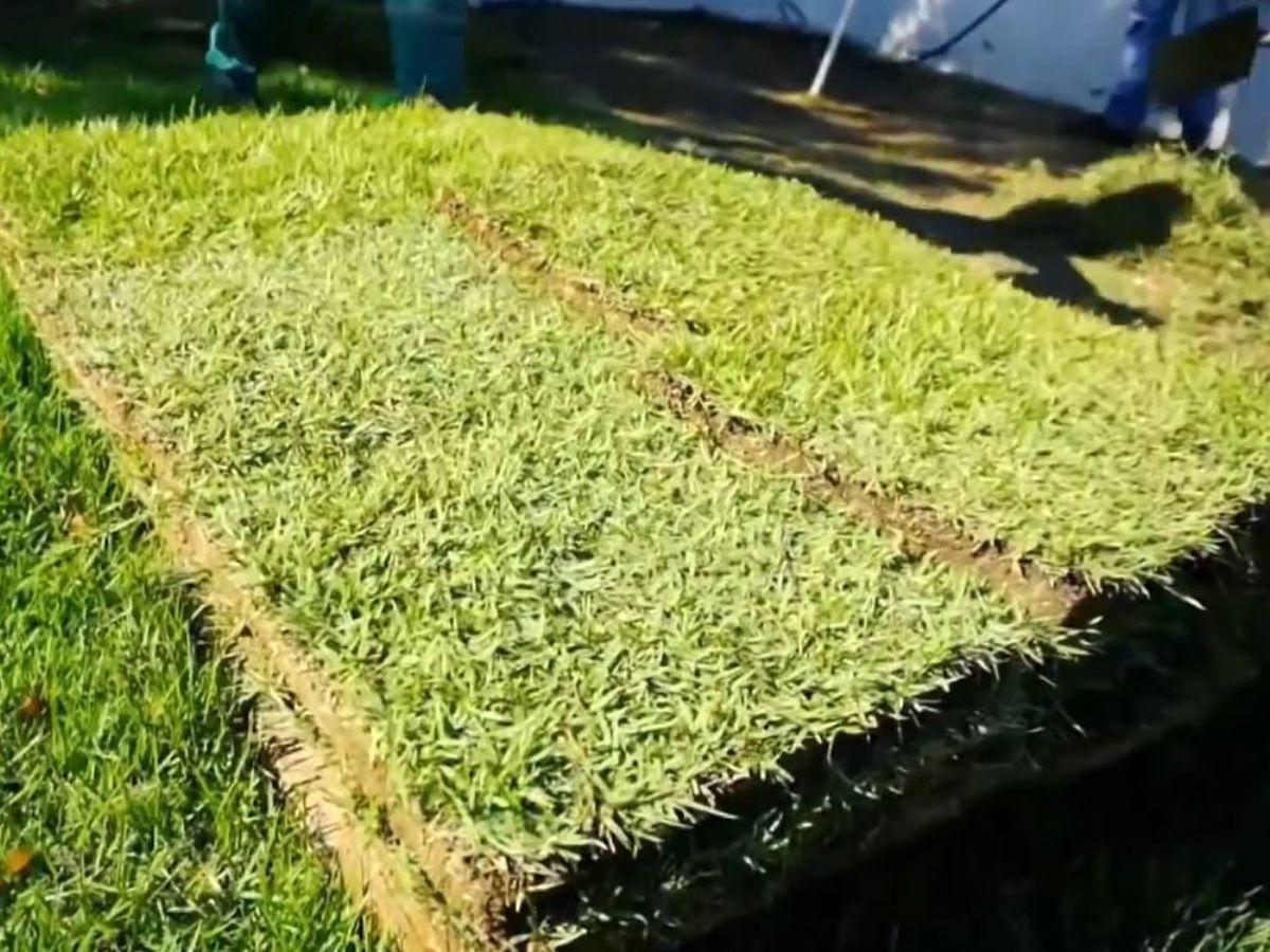 La cancha contará con grama natural.