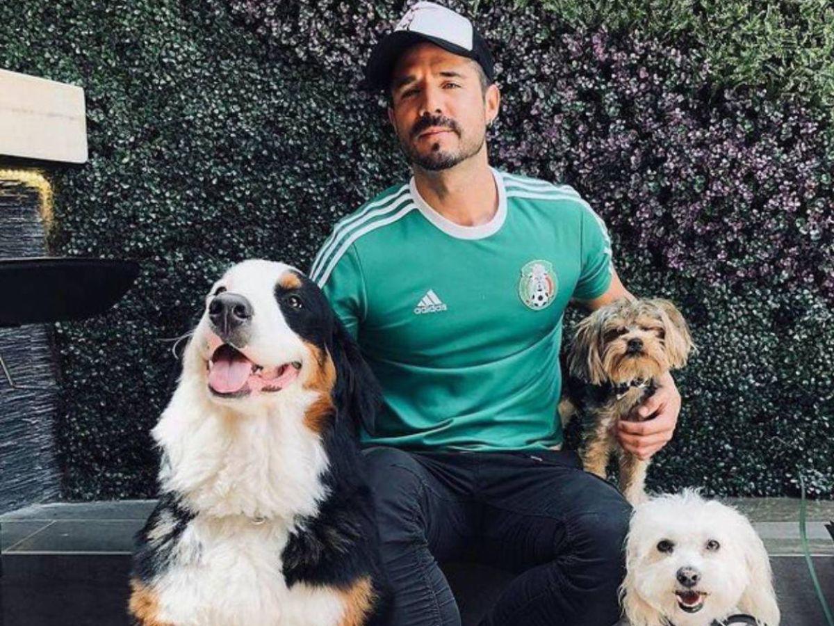 Galilea Montijo anuncia inesperada muerte en el programa Hoy