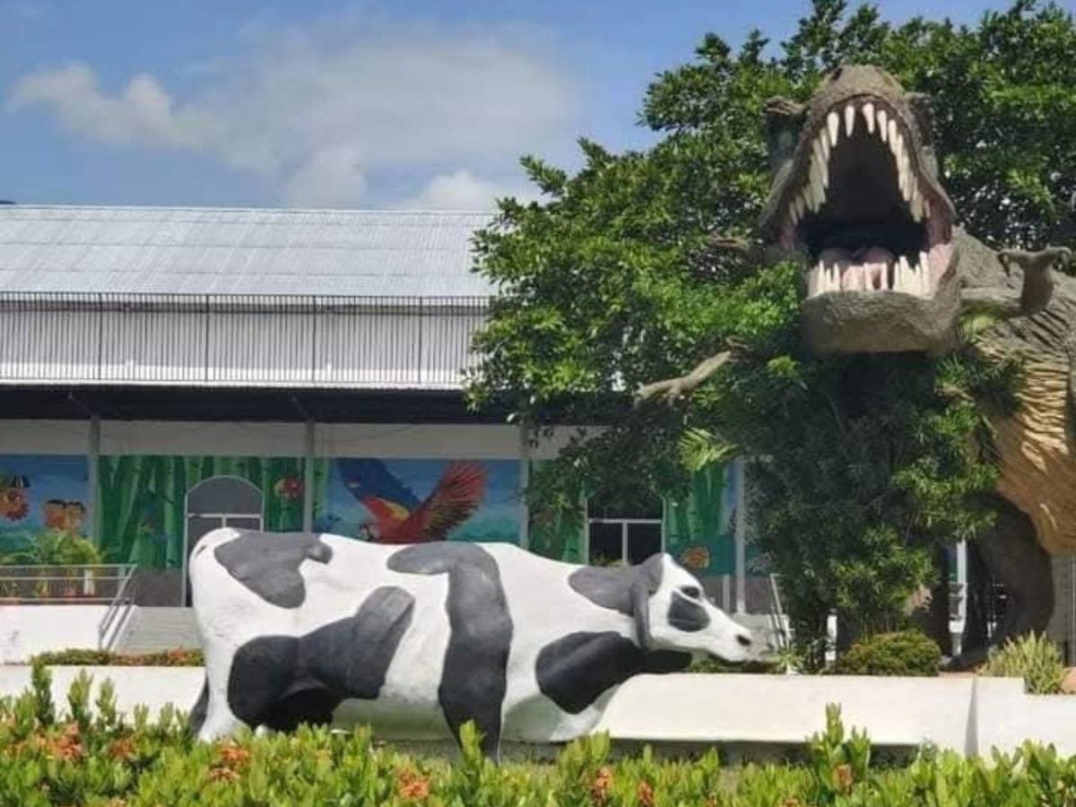 Conoce los horarios y recorridos del Museo para la Infancia El Pequeño Sula