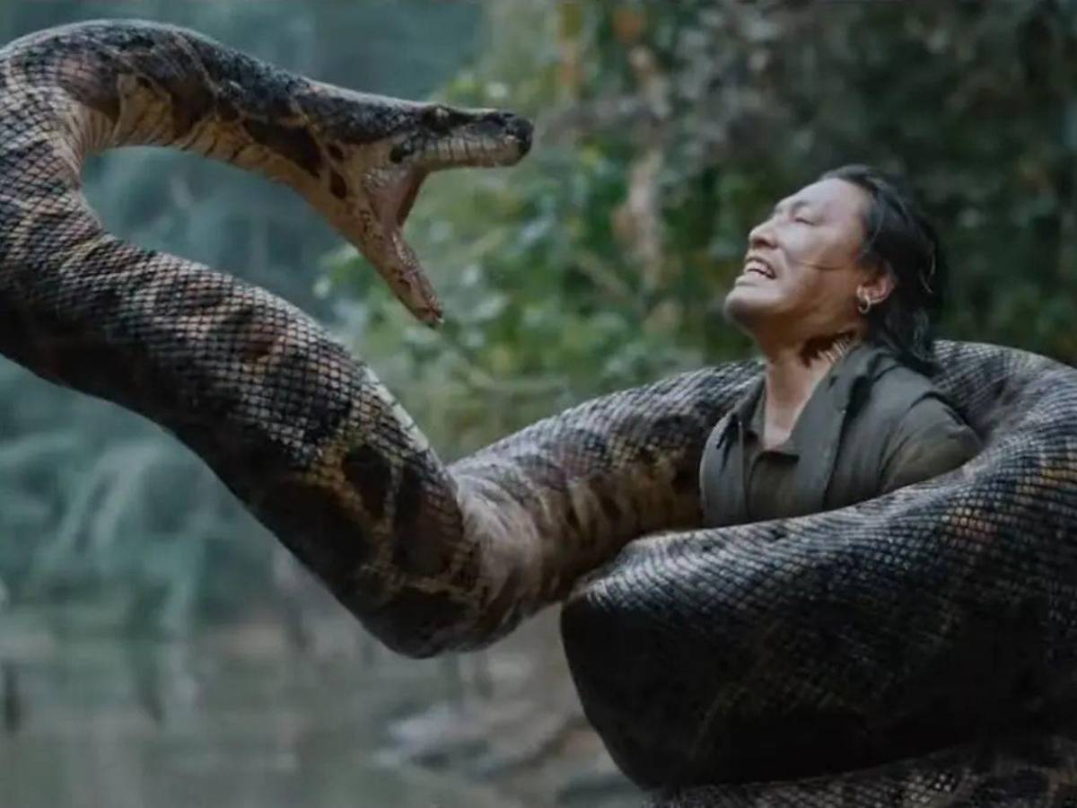 ‘Anaconda’, la película de 1997 que vuelve con Jack Black y Paul Rudd