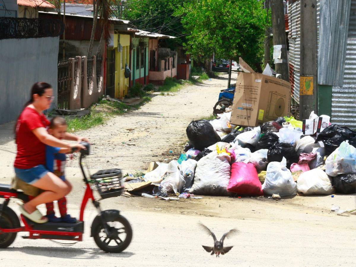 Basura “ahoga a San Pedro Sula, así lucen sus calles