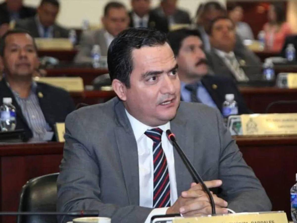 Abogados, docentes y un exárbitro buscan un curul en el Congreso Nacional