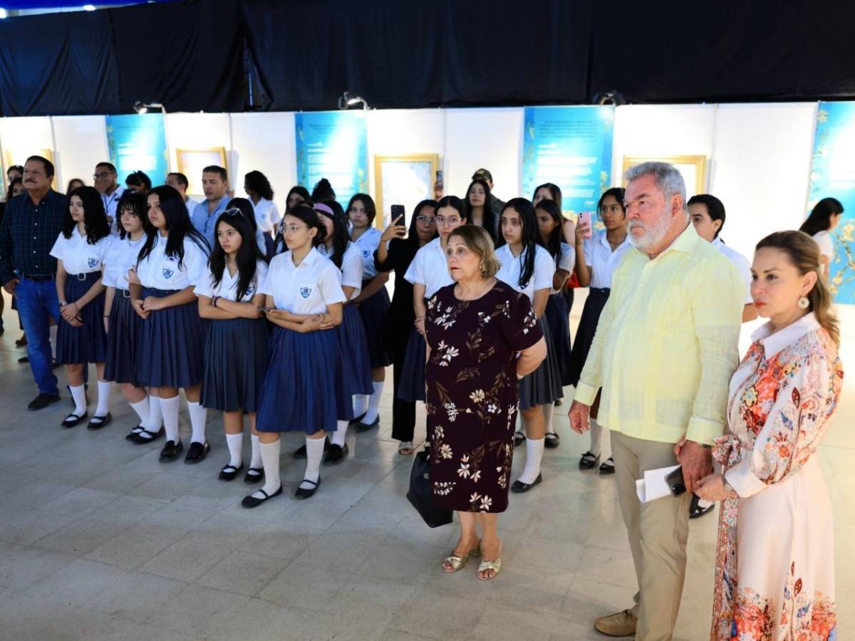 Experiencia de arte inmersiva Van Gogh, un evento para toda la familia