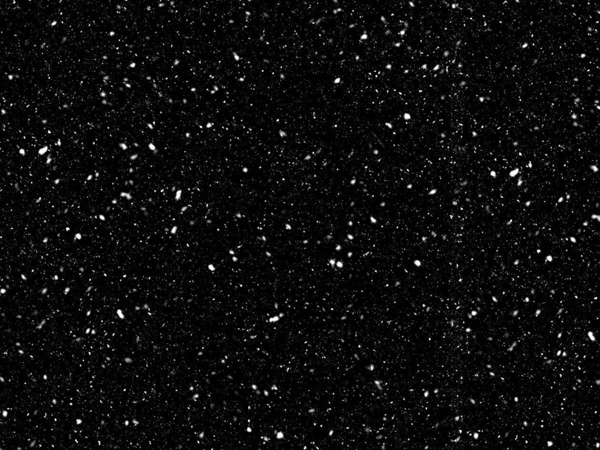 Lluvia de estrellas Leónidas hoy: hora y dónde ver en vivo