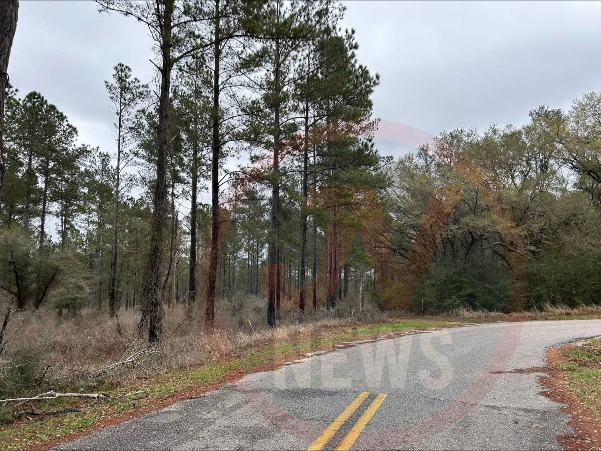 Hallan cuerpos enterrados de familia guatemalteca en Alabama