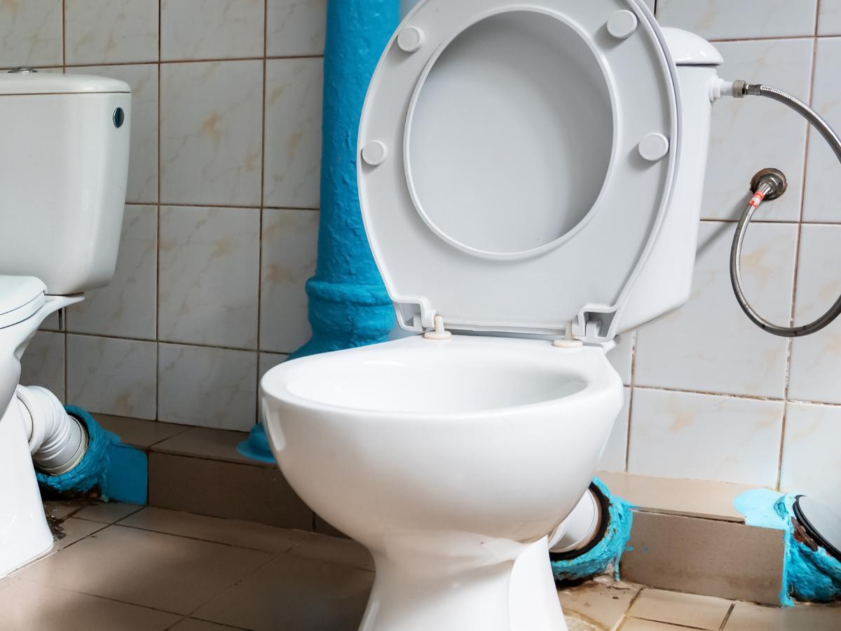 “Muy aterrador”: Mujer es mordida por serpiente escondida en el inodoro de su hogar