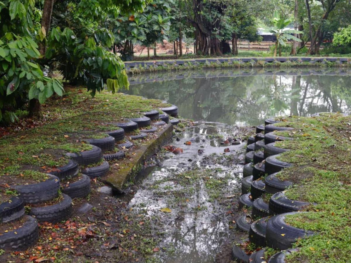 San Pedro Sula tiene su primera Reserva Natural Perpetua