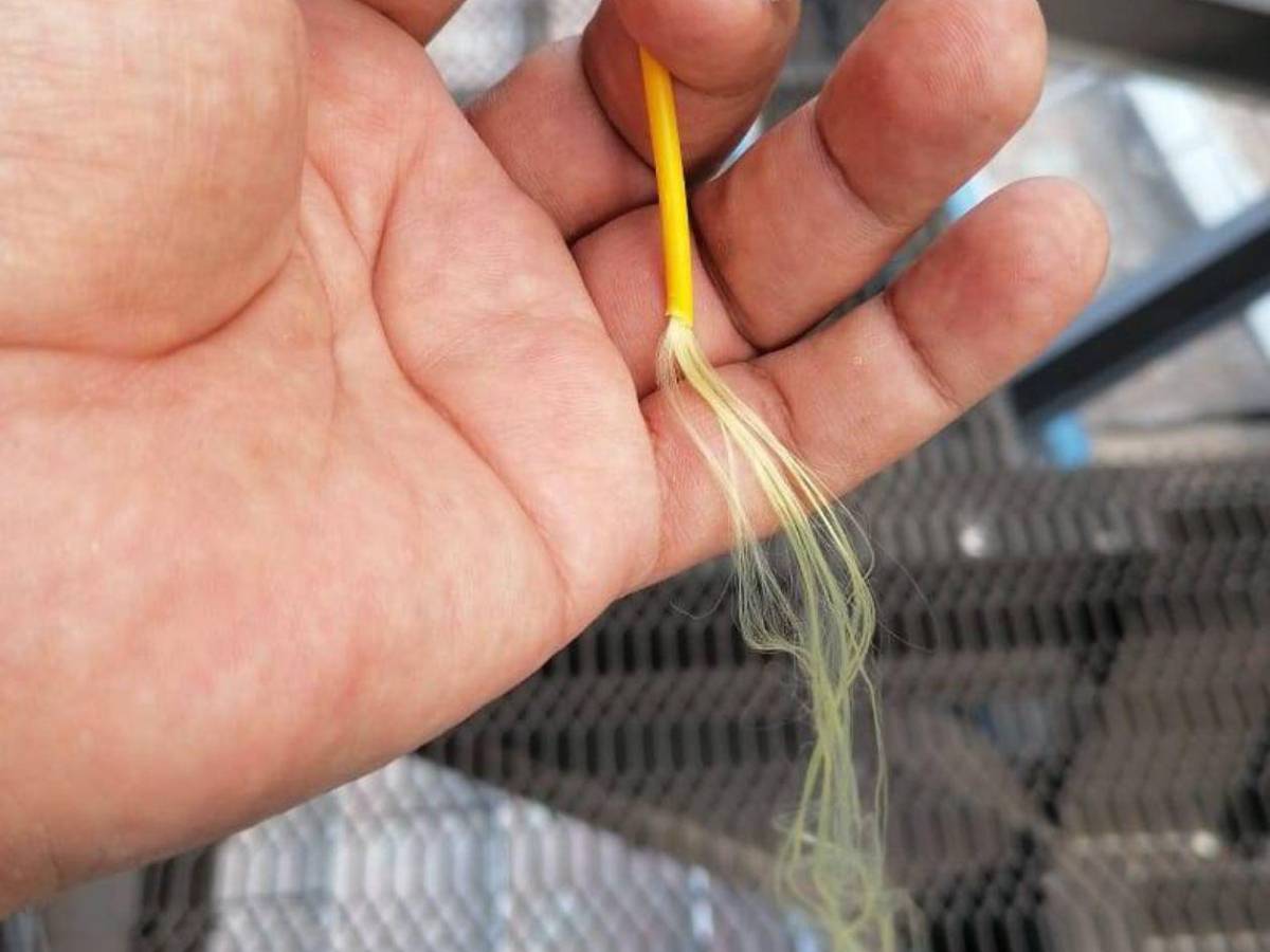 Denuncian lo que pasó con la nueva pantalla del Estadio Nacional “Chelato Uclés”