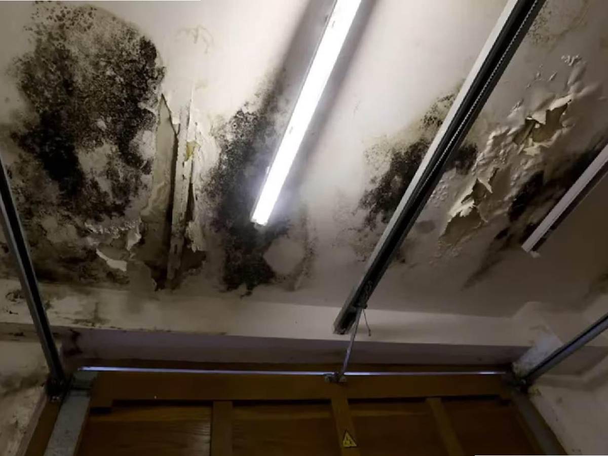 Courtois en problemas: su expareja hace grave denuncia previo a Champions