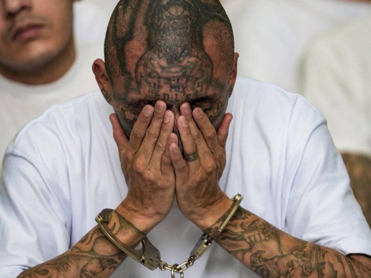 Inédito megajuicio contra más de 400 presuntos pandilleros