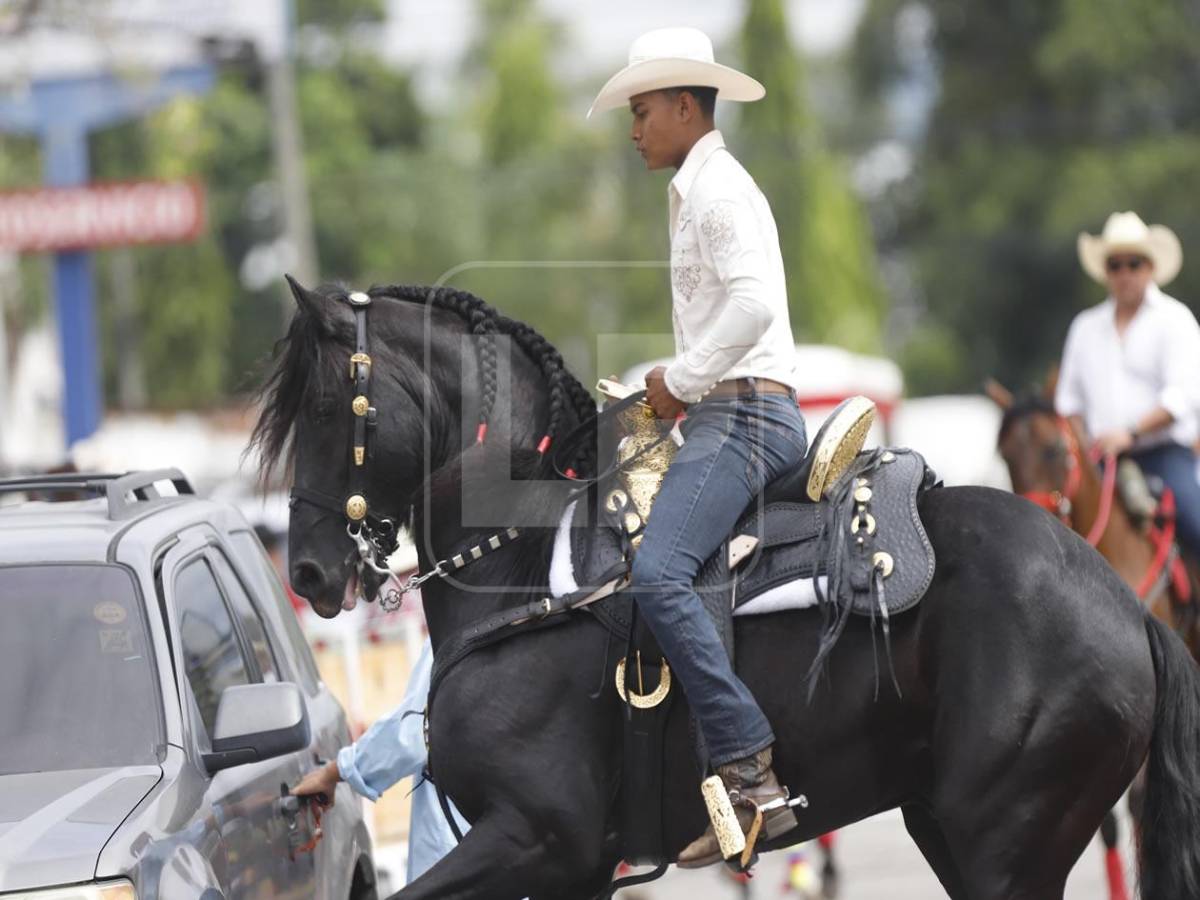 Belleza y alegría en el desfile hípico en San Pedro Sula