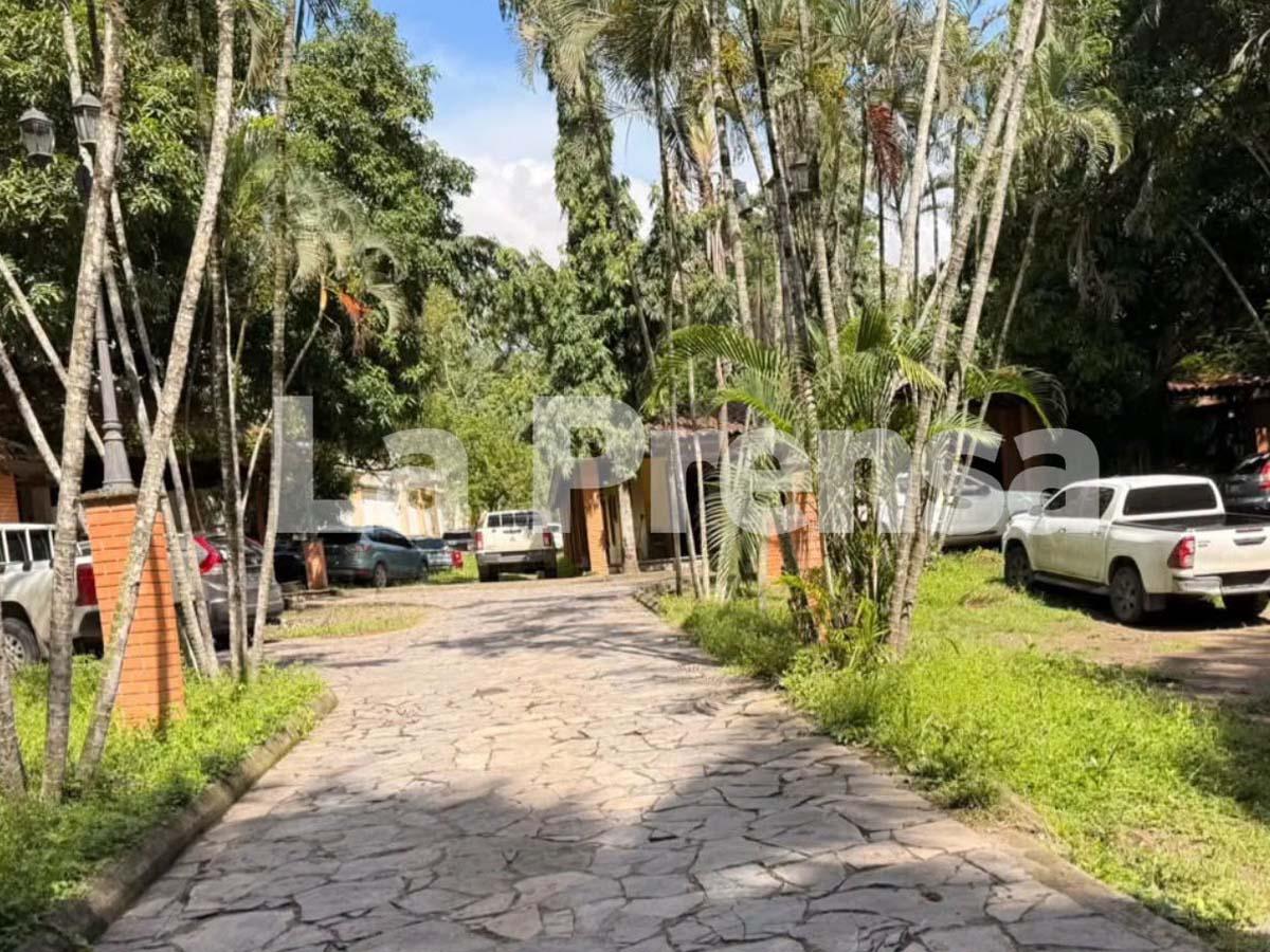 Revelan cómo operaban los policías de la Daet con droga incautada en San Pedro Sula