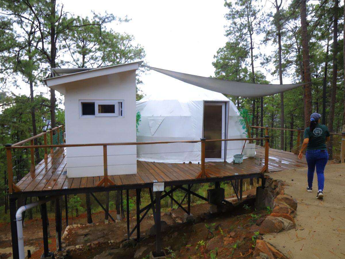 Domos temáticos y chalet de lujo ofrece Tiny Pines