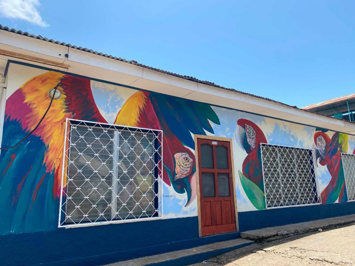 ¡Vaya por su foto! 30 coloridos y creativos murales embellecen San Francisco de Yojoa