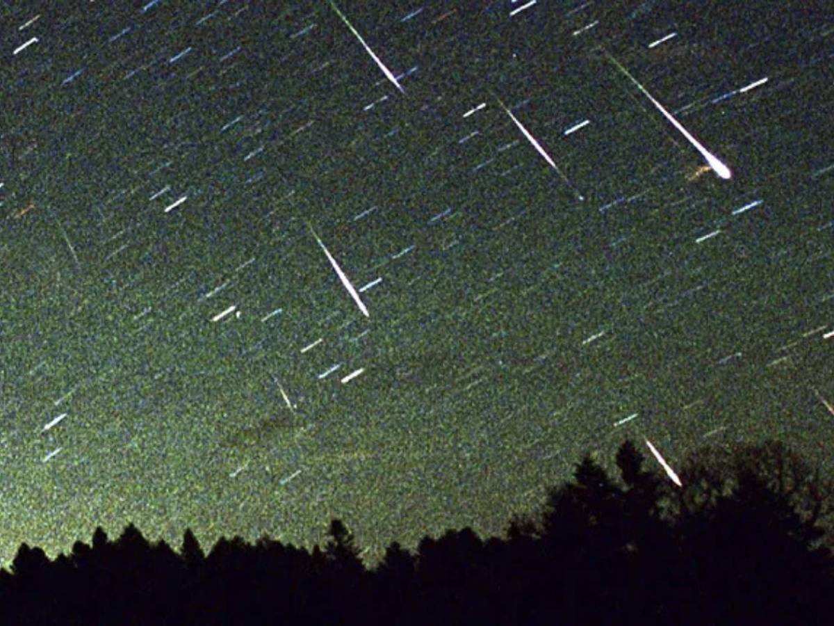 Lluvia de estrellas Leónidas hoy: hora y dónde ver en vivo
